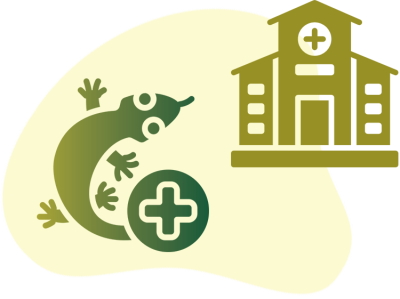 reptile hospital Image